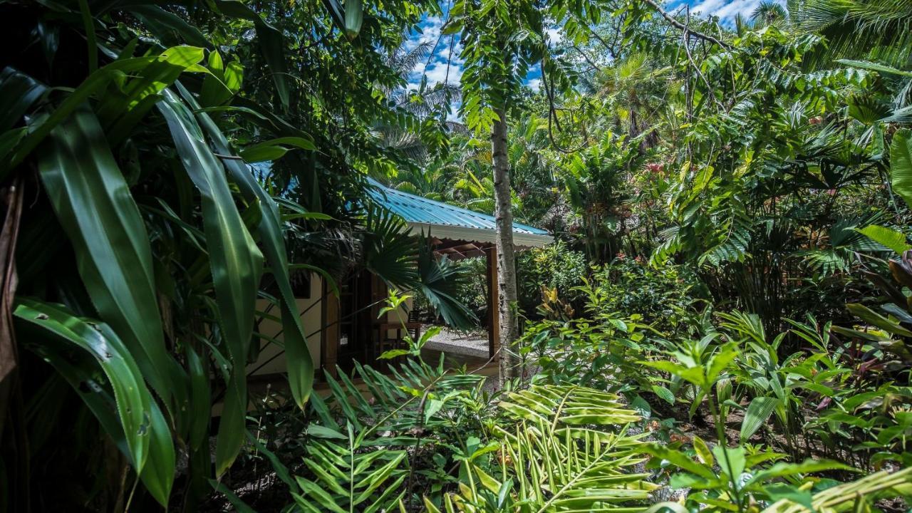 Hotel El Pequeno Gecko Verde Sámara Dış mekan fotoğraf