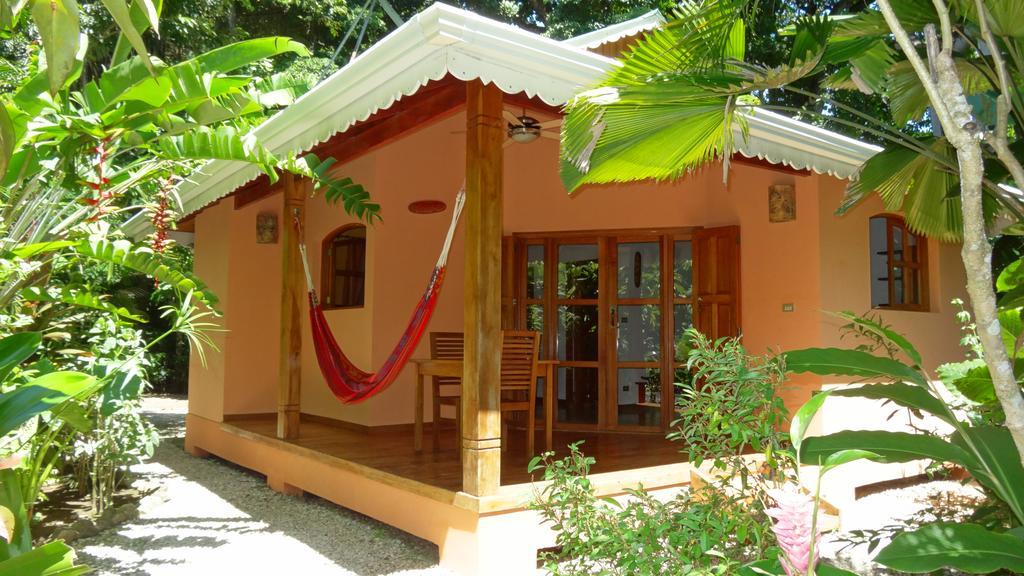 Hotel El Pequeno Gecko Verde Sámara Dış mekan fotoğraf