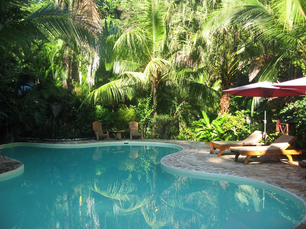 Hotel El Pequeno Gecko Verde Sámara Dış mekan fotoğraf