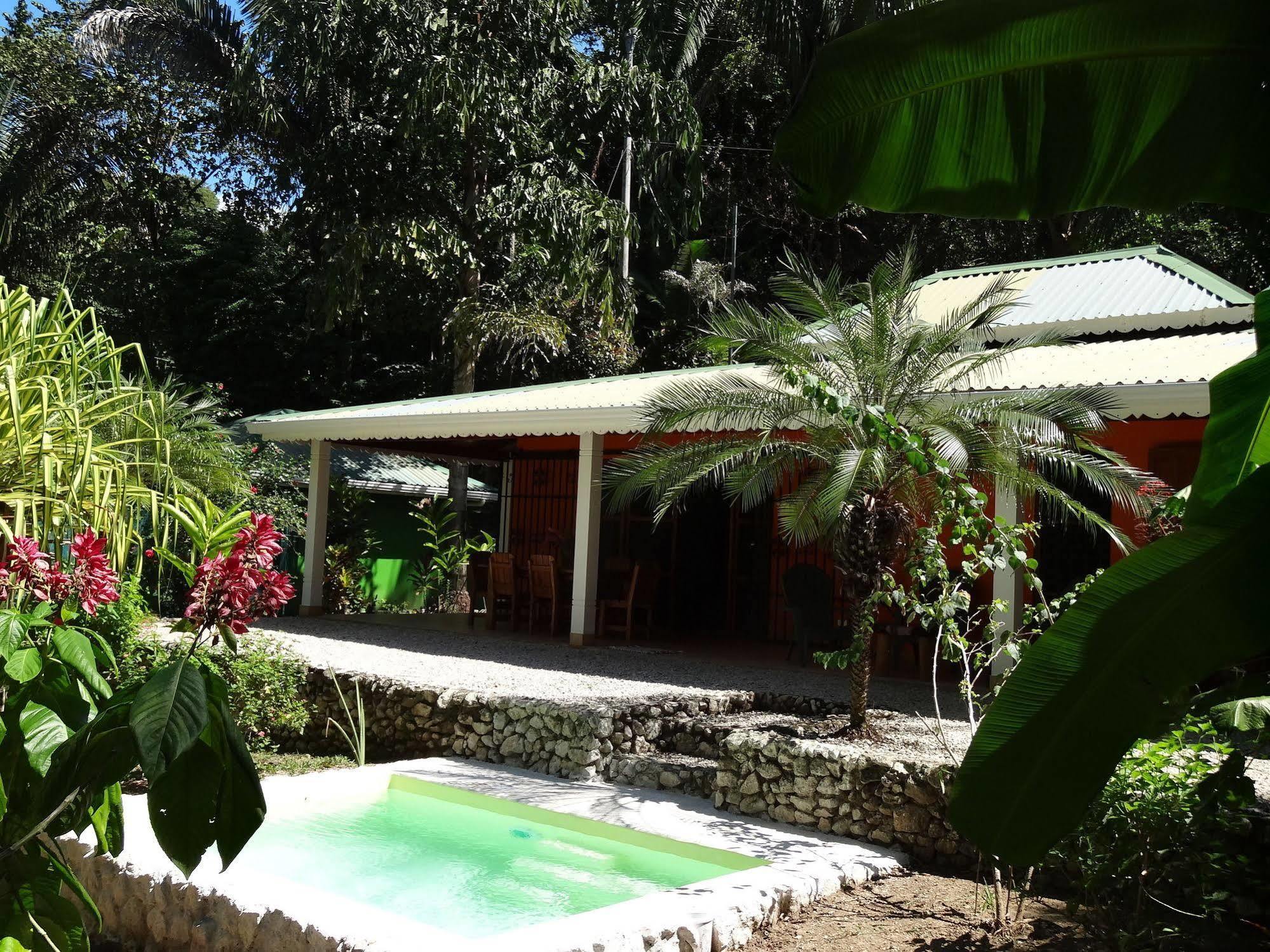 Hotel El Pequeno Gecko Verde Sámara Dış mekan fotoğraf