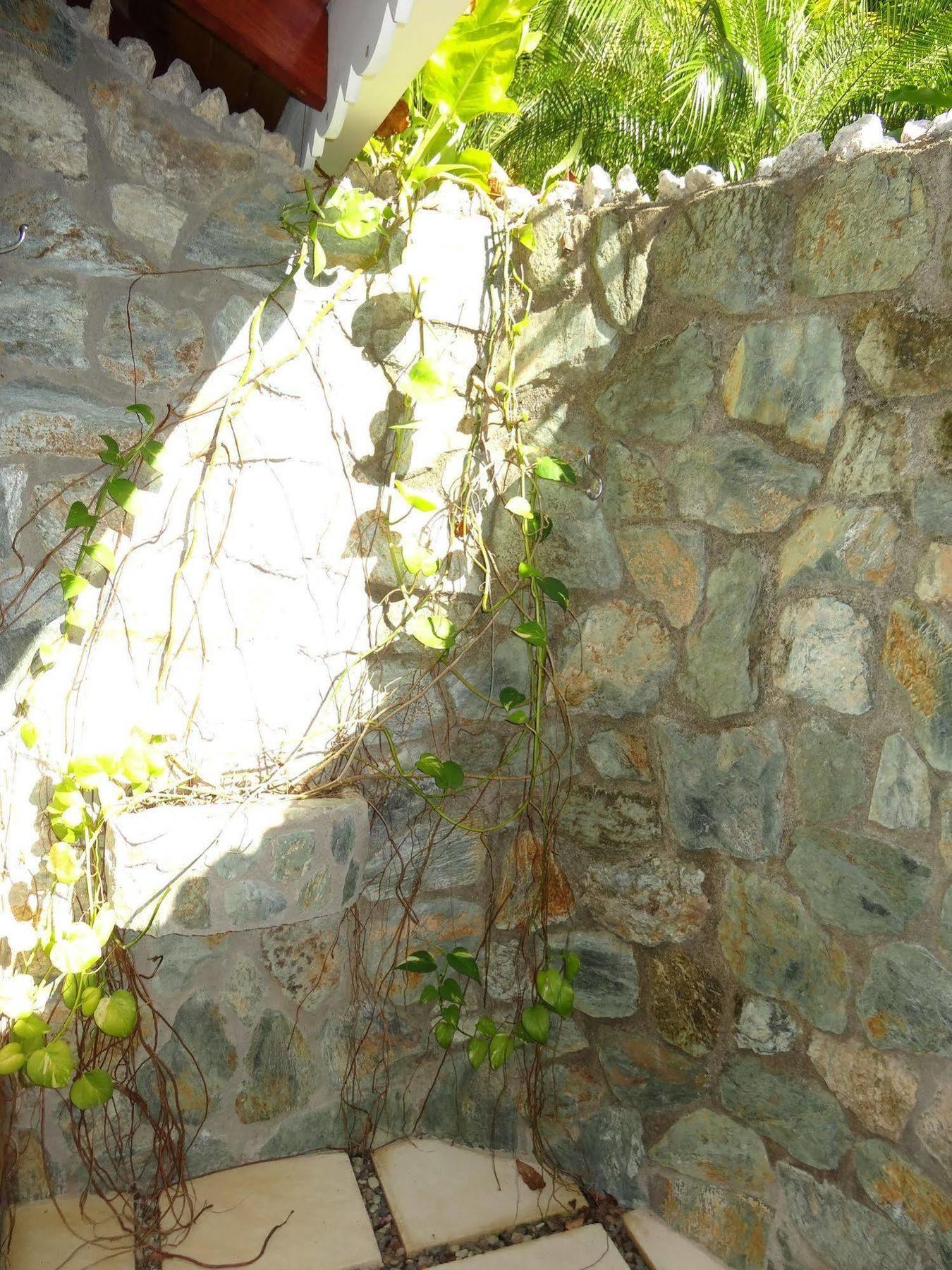 Hotel El Pequeno Gecko Verde Sámara Dış mekan fotoğraf