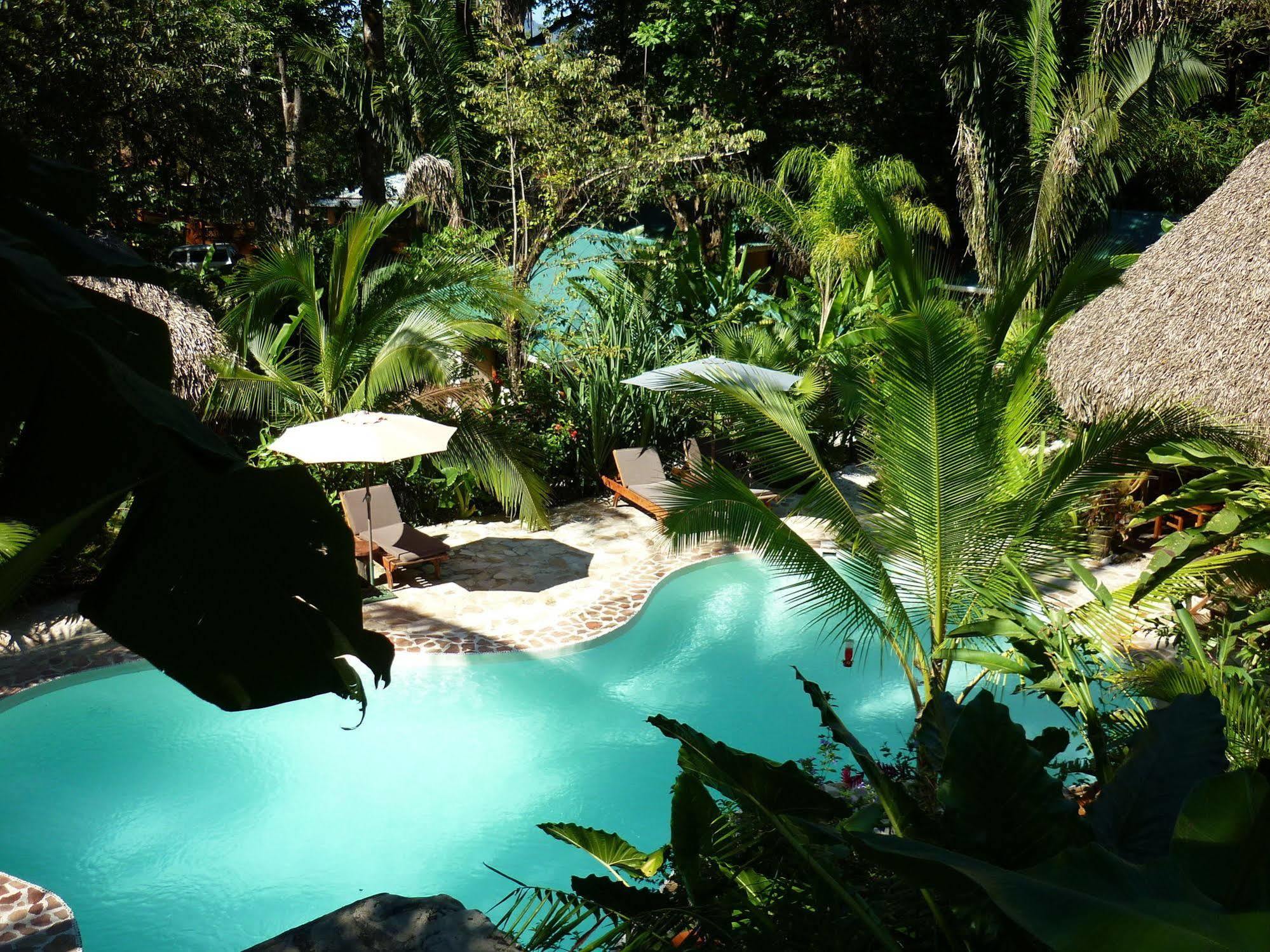 Hotel El Pequeno Gecko Verde Sámara Dış mekan fotoğraf