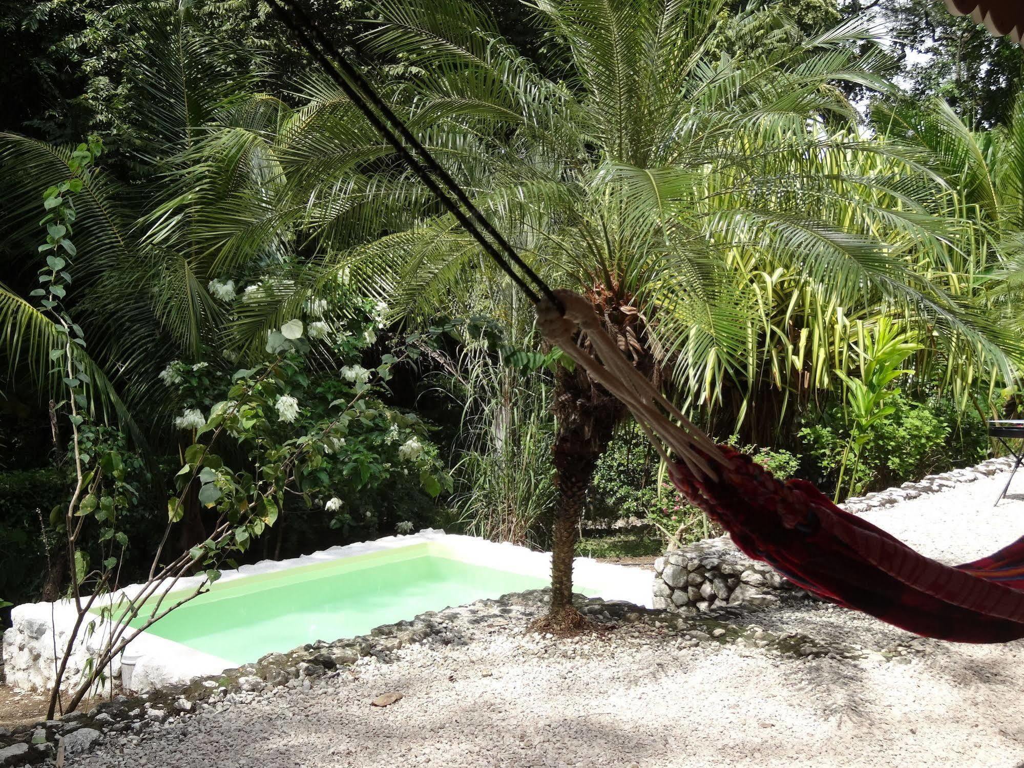 Hotel El Pequeno Gecko Verde Sámara Dış mekan fotoğraf