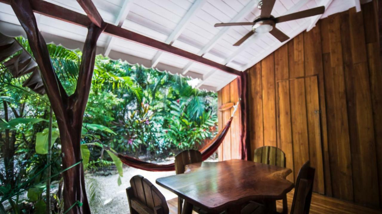 Hotel El Pequeno Gecko Verde Sámara Dış mekan fotoğraf