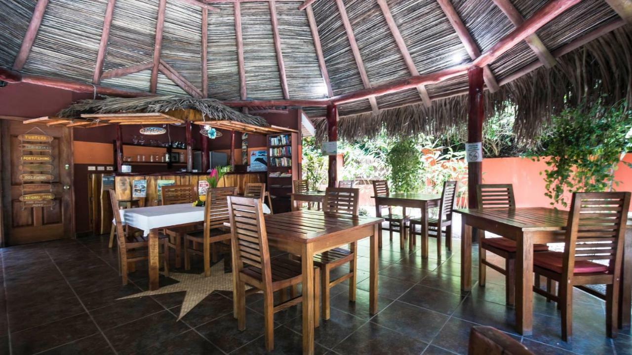 Hotel El Pequeno Gecko Verde Sámara Dış mekan fotoğraf