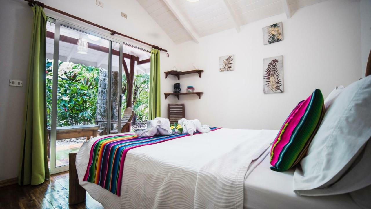Hotel El Pequeno Gecko Verde Sámara Dış mekan fotoğraf