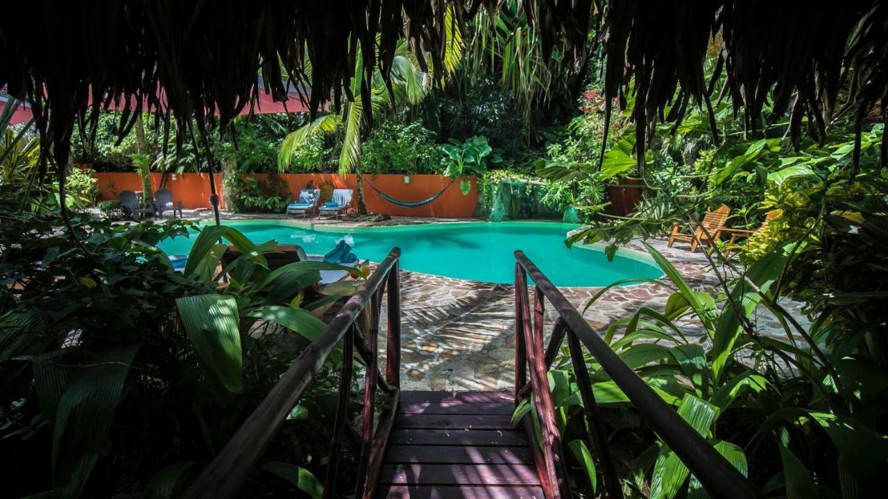 Hotel El Pequeno Gecko Verde Sámara Dış mekan fotoğraf