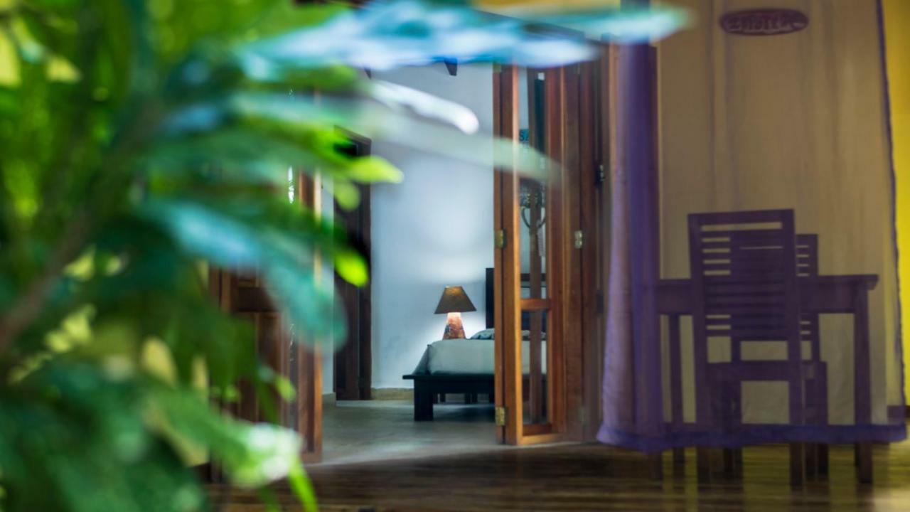 Hotel El Pequeno Gecko Verde Sámara Dış mekan fotoğraf