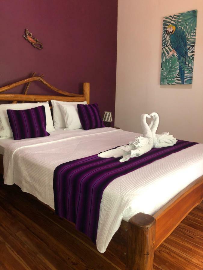 Hotel El Pequeno Gecko Verde Sámara Dış mekan fotoğraf