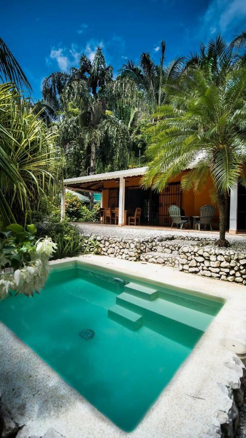 Hotel El Pequeno Gecko Verde Sámara Dış mekan fotoğraf