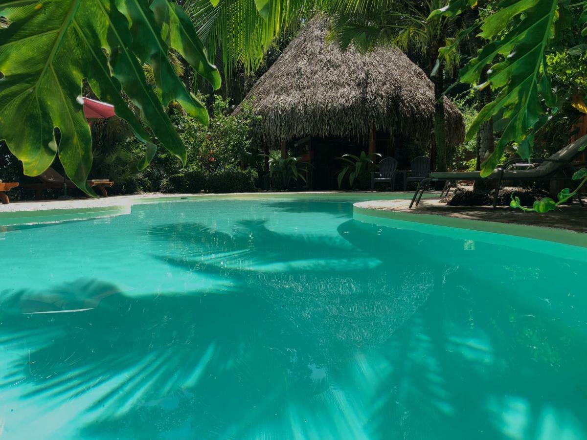 Hotel El Pequeno Gecko Verde Sámara Dış mekan fotoğraf